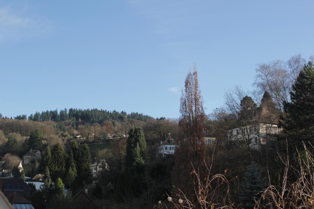 Ferienwohnung Freiburg Herdern Cameră foto